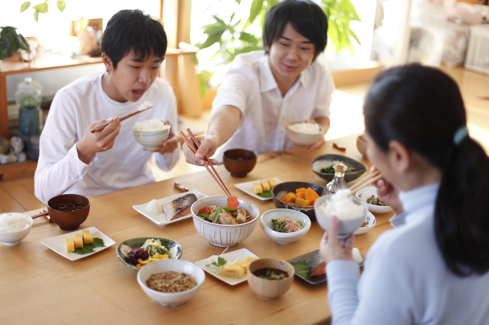 料理